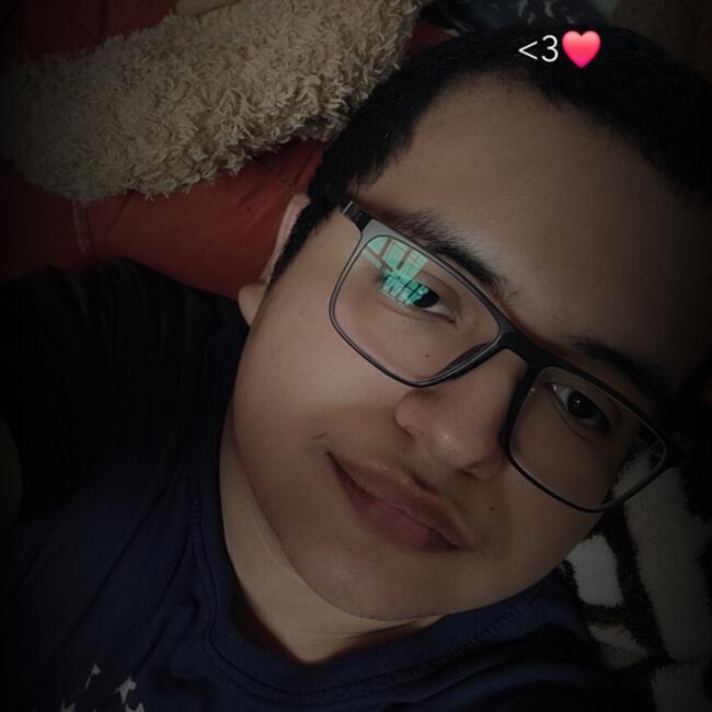 Babysitter in San Luis Potosí City: Emmanuel