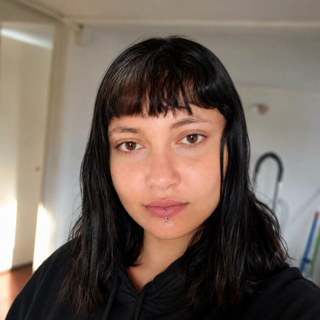 Babysitter in Puente Alto: Alondra