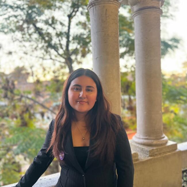 Babysitter in Santiago: Antonia Bustamante