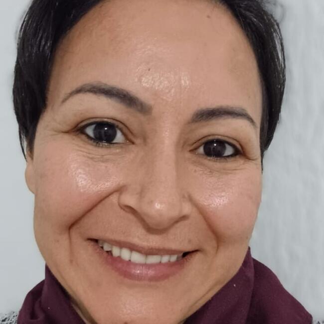 Babysitter in São Paulo (São Paulo): MARILSA Pereira