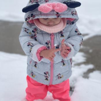 Babysitting job in Vaughan: babysitting job Wahida