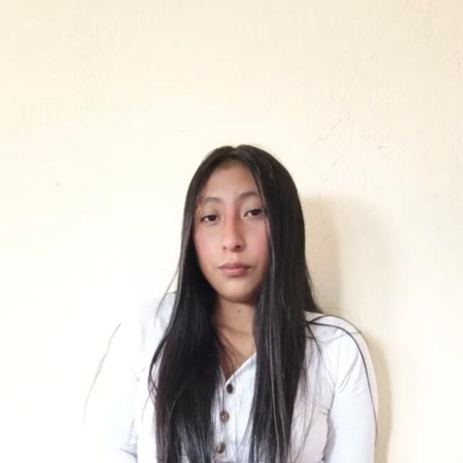 Babysitting job in Quito: Evelyn