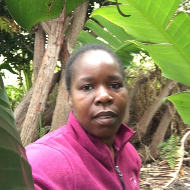 Babysitter in Cape Town: Angela Slyvia