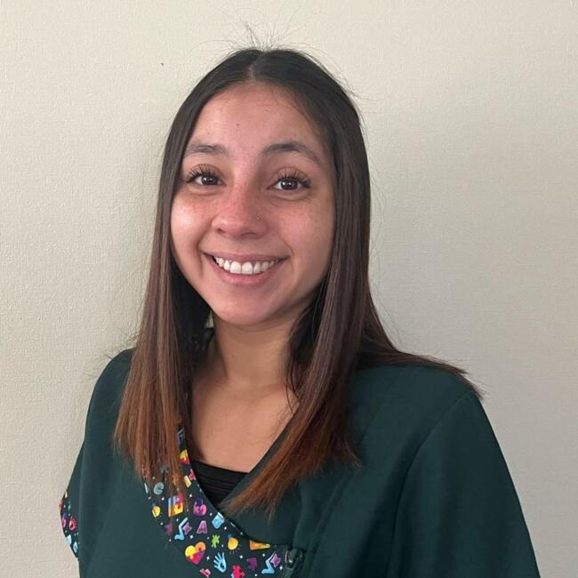 Niñera en Concepción: Sofía Fabregas Rivera