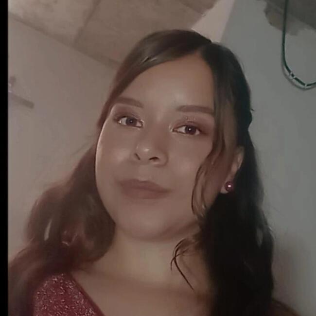 Babysitter in San Luis Potosí City: Fernanda