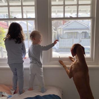 Babysitting job in Sunshine Beach: babysitting job Kate