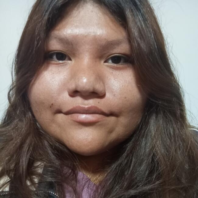 Babysitter in Antofagasta: Fatima