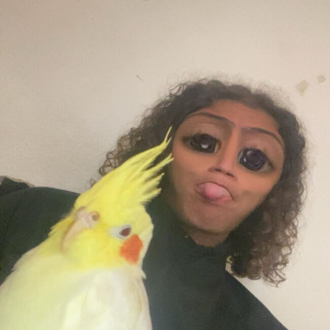 Babysitter in Asnières-sur-Seine: Adam