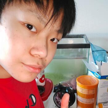 Babysitter in Toronto: Akira