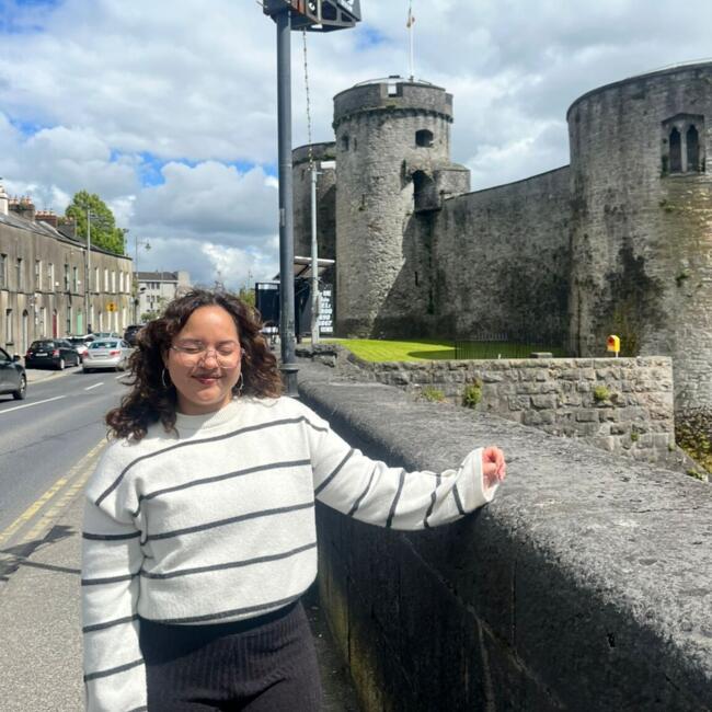 Babysitter in Limerick: Pamela