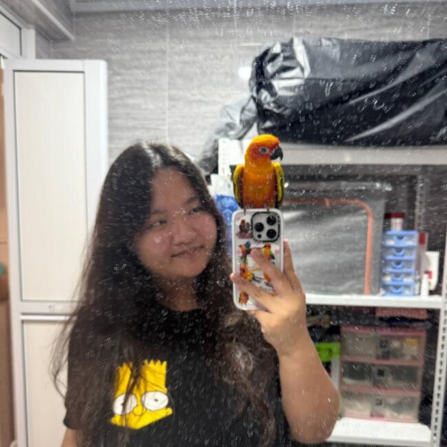 Babysitter in Singapore Island: Kylie