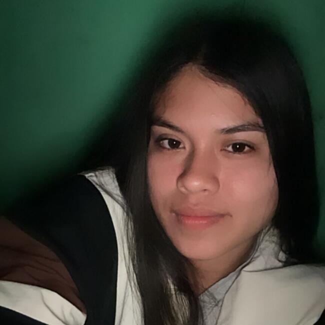Babysitter in Chiclayo: Alicia