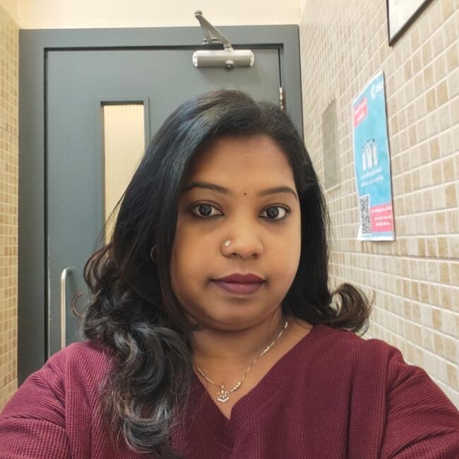 Babysitter in Lucan: Bincymol