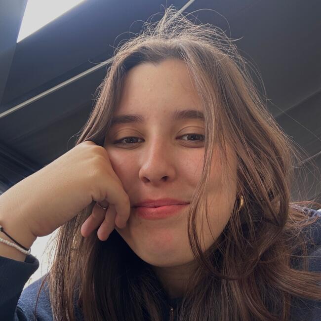 Babysitter in Clonsilla: Estela