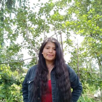 Babysitter in Osorno: Diamante Paz