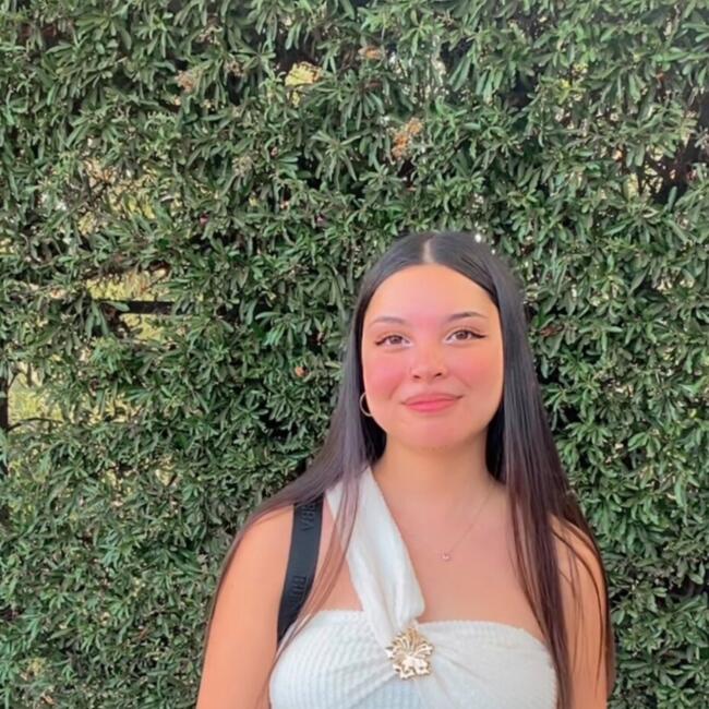 Babysitter in Rancagua: Lizeth Soto
