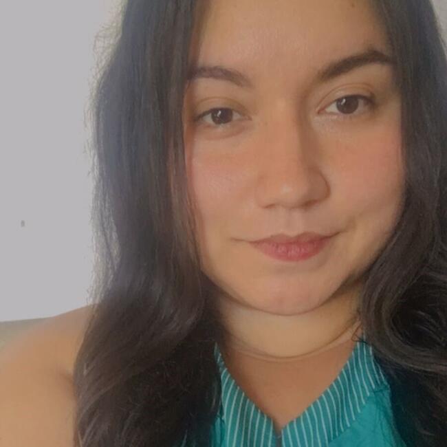 Babysitter in Puente Alto: Allyson