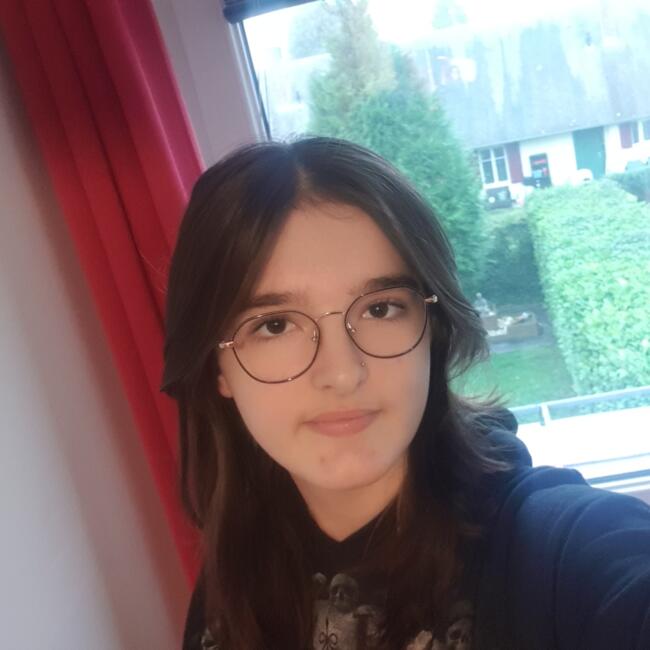 Babysitter in Caen: My Lê