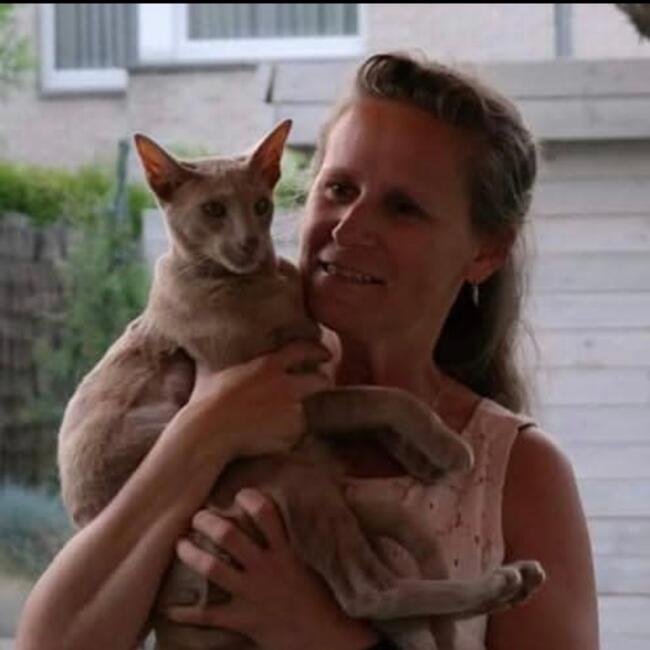 Nanny in Zottegem: Cindy