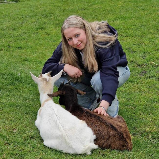 Babysitter em Bruges: Imani