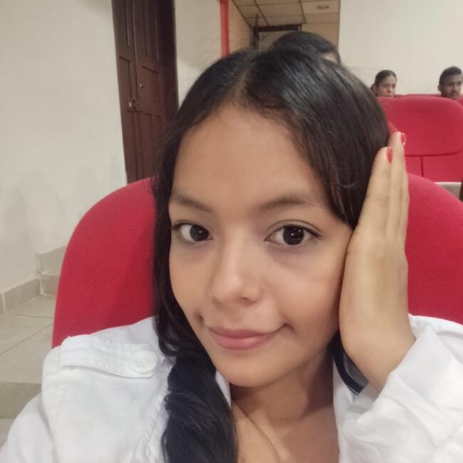 Babysitter in Santiago: LISETH