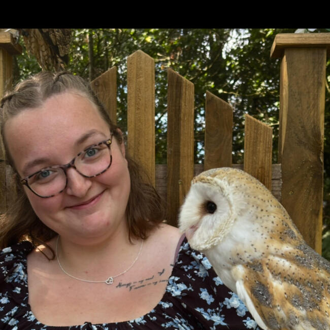 Babysitter in Colchester: Amber