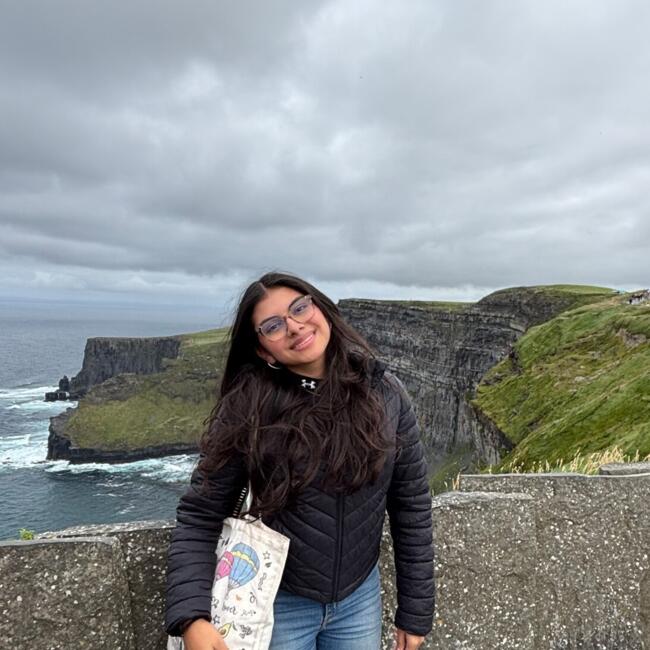 Babysitter in Limerick: Karianna