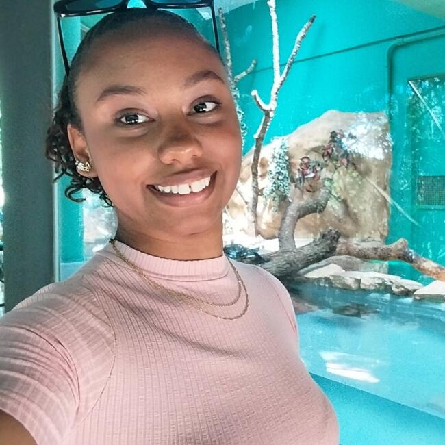 Babysitter in Sabará: Sarah