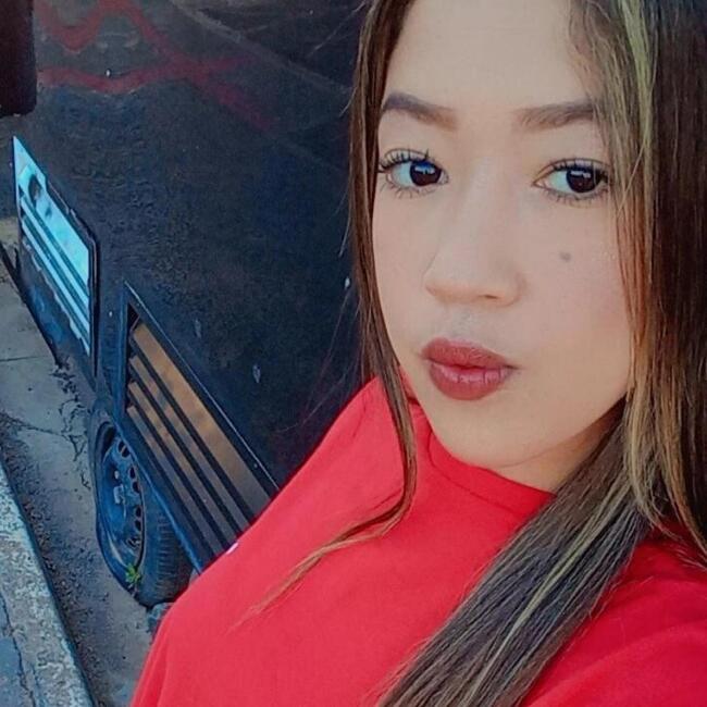 Babysitter in Santa Bárbara d'Oeste: Tayla