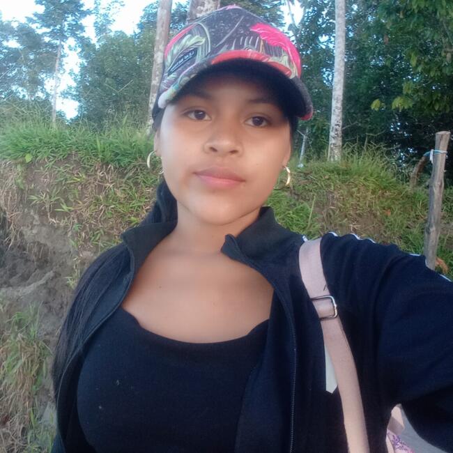 Babysitter in Lima: Dayli Priscila