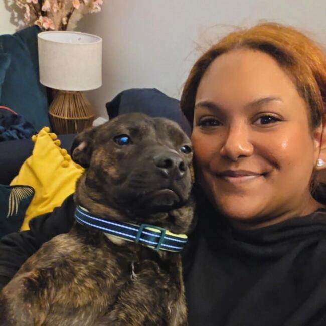 Babysitter in Exeter: Sia