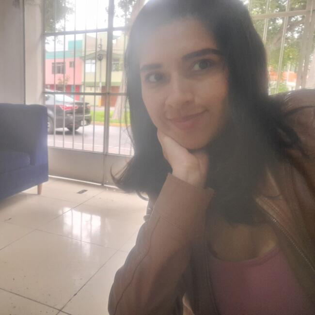 Babysitting job in Comas (Departamento de Lima): Elizabeth