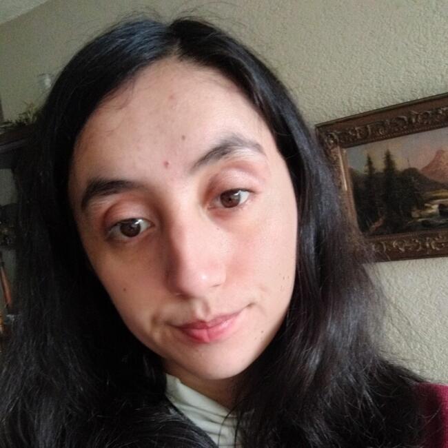 Babysitter in Osorno: Nicole