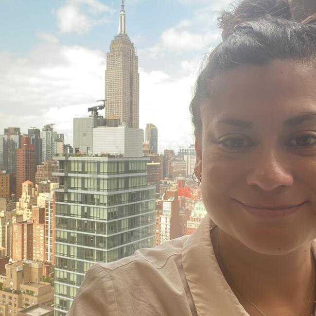 Babysitting job in Santiago: Vale