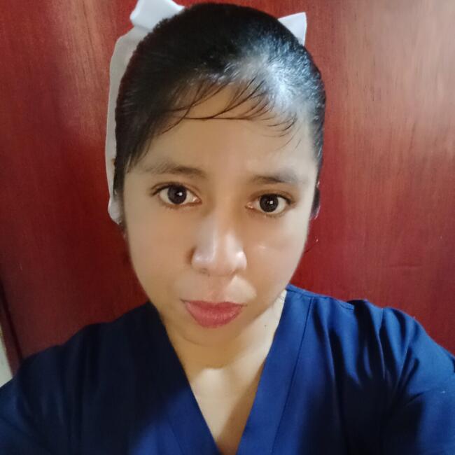 Babysitter in Villahermosa: Aracely