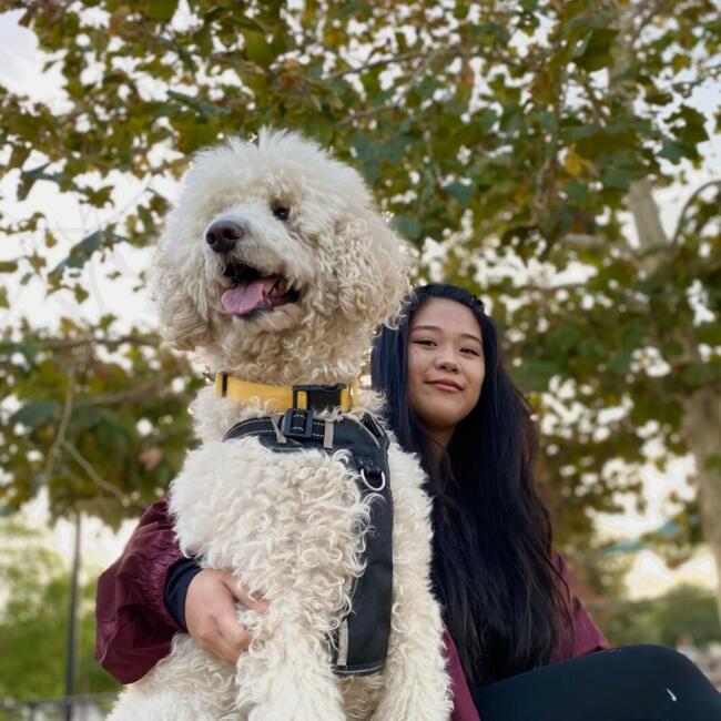 Babysitter in Linthicum Heights: Elaine Aisa