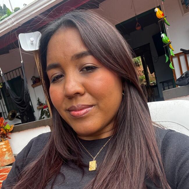 Babysitting job in Santiago de Cali: Vanessa