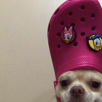 Opiekunka do dziecka w Almada: Giovan