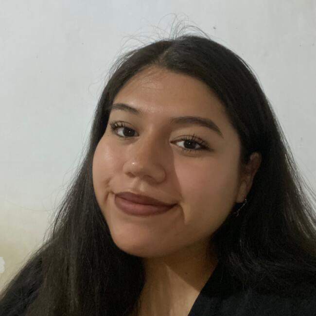 Niñera en Santiago de Chile: Varinia