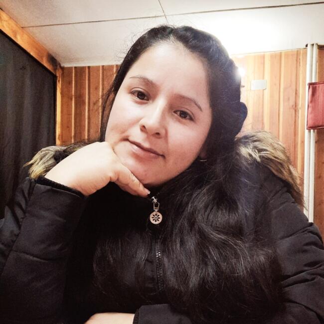 Babysitter in Valdivia: Karin