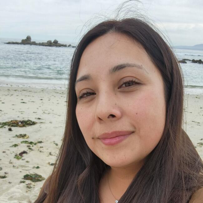 Babysitting job in Talagante: Danisza
