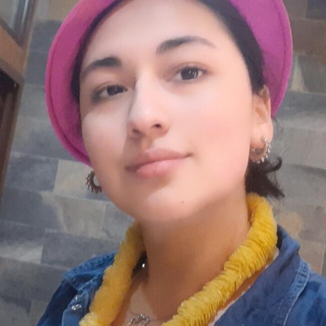 Babysitter in Temuco: Sofia