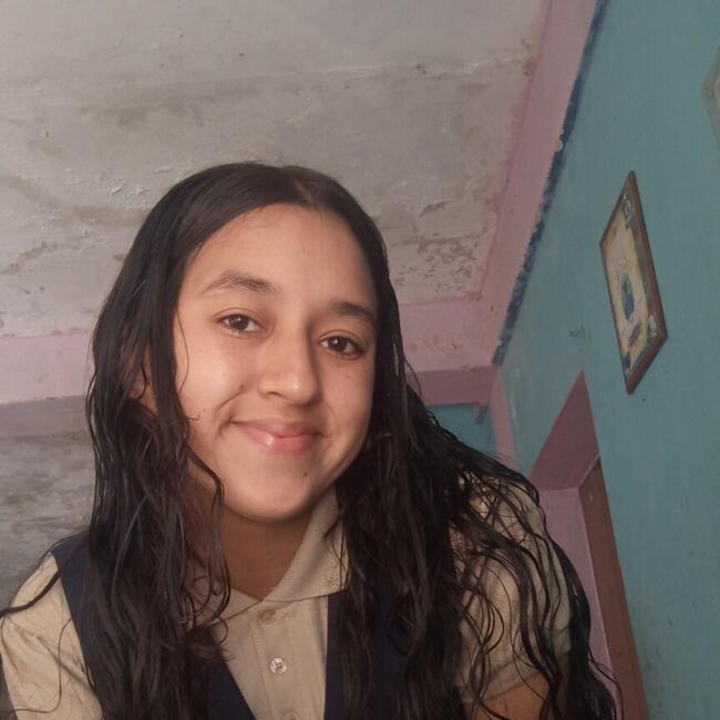 Babysitter in Barquisimeto: Aris