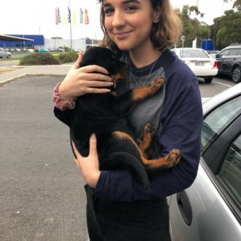 Babysitter in Adelaide: Marina