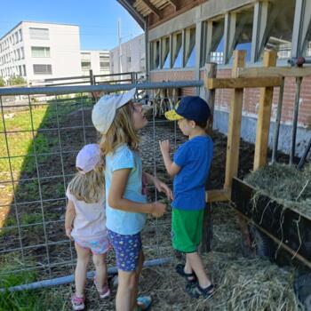 Lavoro per babysitter a Köniz: lavoro per babysitter Natalie