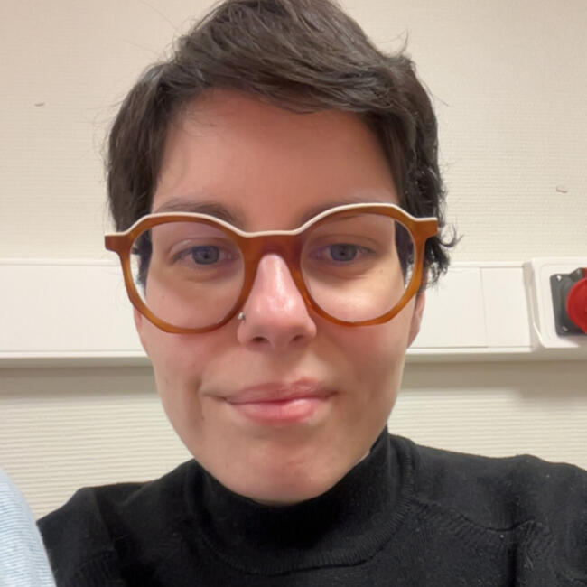 Babysitter in Brest: Camille