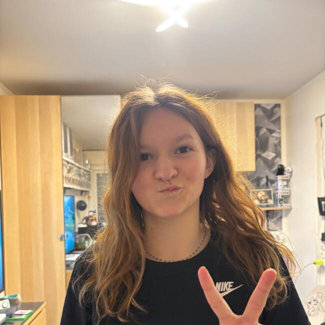 Babysitter in Villeurbanne: Camille