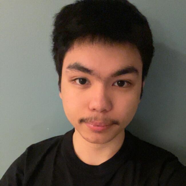 Babysitter in Aalborg: Deniel Rohanz