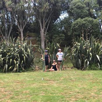 Parent Waitakere: babysitting job Keely