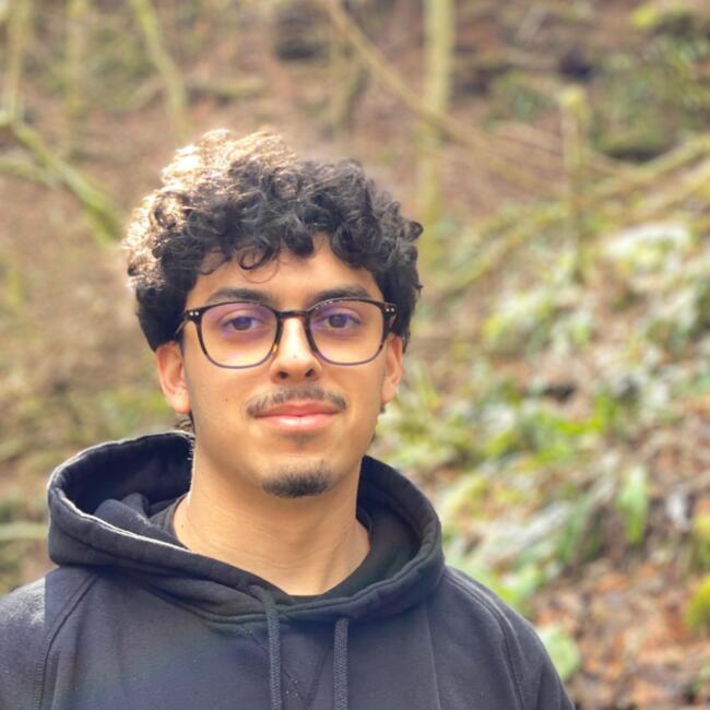 Babysitter in Sanem: Jordan